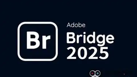 Bridge.2025破解版，安装即用